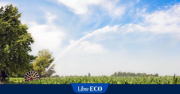 Ces fermes sans terre en devenir d'habitat partagé