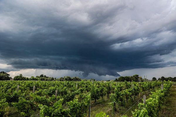 Orages violents, dômes de chaleur... Les épisodes s'intensifient et se répètent, quelles conséquences ?