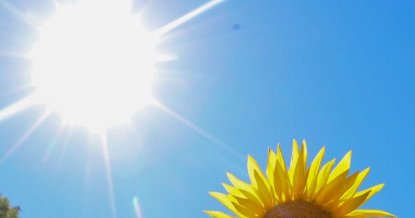 Vaucluse. Canicule : les écoles maternelles et élémentaires de Bollène fermées