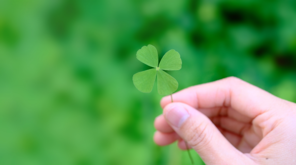 Loto : ces signes qui ont une chance de toucher le jackpot ce lundi 30 juin 2025