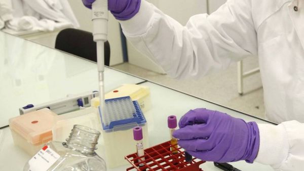 Origine du Covid : chauve-souris, fuite de laboratoire... toutes les hypothèses "restent sur la table"