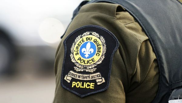 Bas-Saint-Laurent: une collision avec un orignal fait un blessé