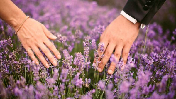 Connaissez-vous le "Lavender Marriage", cette tendance amoureuse des années 1950 qui revient en force ?