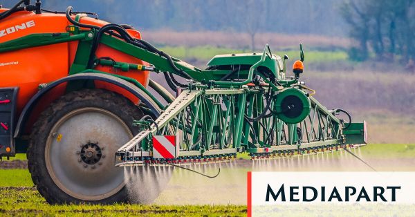 Le biologiste Marc-André Selosse sur la loi «Duplomb»: «Je ne vois qu'un repli frileux sur le passé»