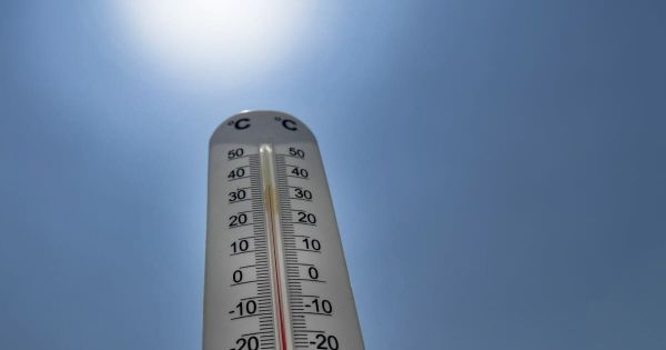 Météo. Canicule dans la Loire et en Haute-Loire : la barre des 36°C déjà franchie ce lundi