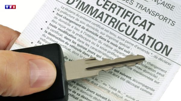 Il est désormais possible d'installer sa carte grise numérique dans l'application France Identité | TF1 INFO