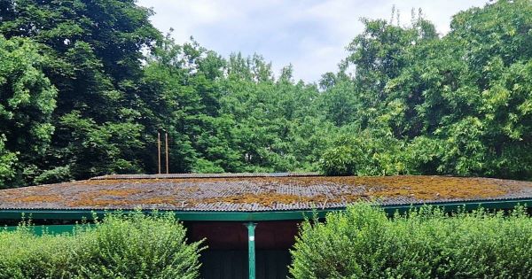 Nancy. Parc de la Pépinière : vétuste et à l'abandon, le théâtre de marionnettes encore dans le flou