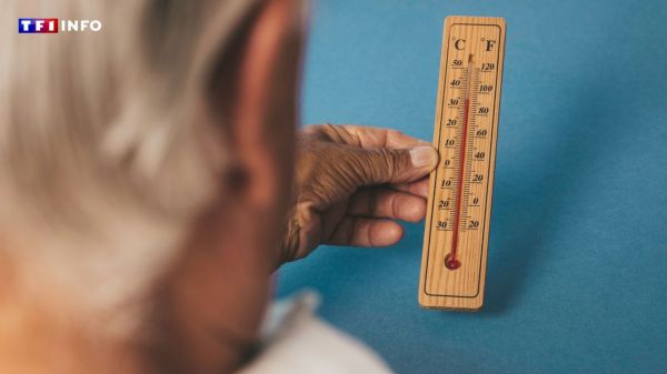 Canicule : "On se dirige vers le mois de juin le plus chaud qu'on ait connu" | TF1 INFO