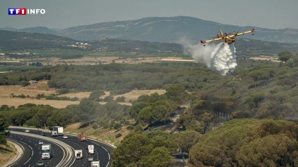 "Irrespirable avec de la fumée partout" : dans l'Aude, l'angoisse des habitants face à un incendie complexe | TF1 INFO