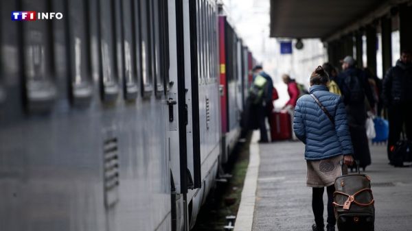 SNCF : la concurrence est-elle bénéfique ? LCI vous répond | TF1 INFO