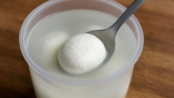 Vous jetez l'eau de votre mozzarella ? Voici pourquoi c'est une erreur
