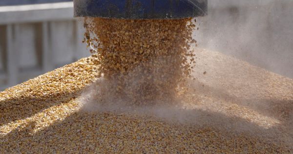 Economie. L'UE annonce un nouvel accord avec l'Ukraine sur l'importation de produits agricoles