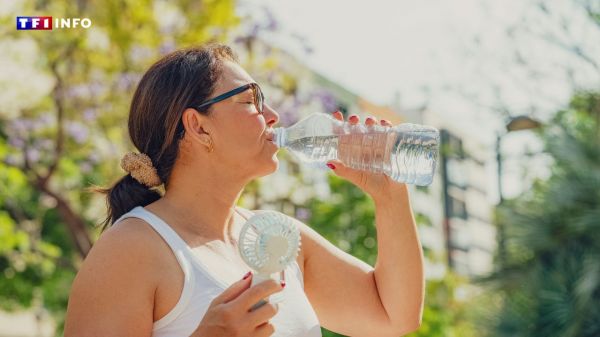 "Le vent nul permet aux températures de grimper" : cet écrasant dôme de chaleur qui va marquer l'année 2025 | TF1 INFO