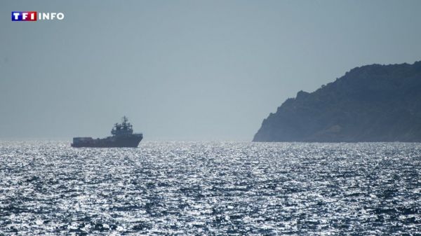 Vague de chaleur : la mer Méditerranée atteint une température jamais vue au mois de juin | TF1 INFO
