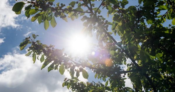 Côte-d'Or. Canicule : des établissements accueillants du public fermés