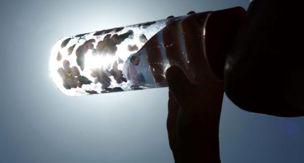 Mertert : les cours scolaires suspendus en raison de la canicule