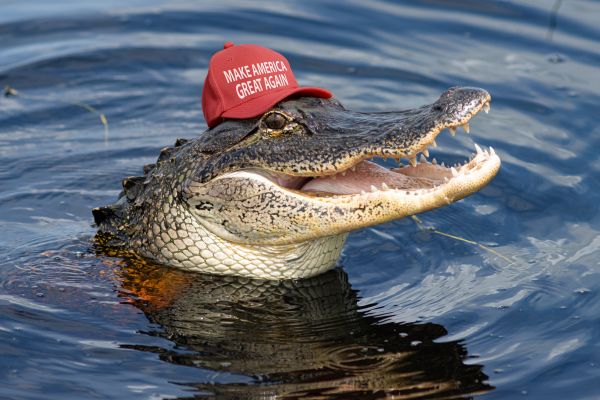 «Alcatraz des Alligators» : Trump inaugure un camp pour migrants au cœur des marécages