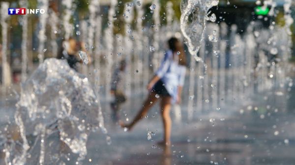 Canicule : ces lieux toujours frais vous aident à vous protéger de la chaleur | TF1 INFO
