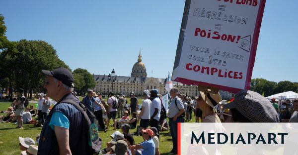 Sur l'esplanade des Invalides à Paris: «Les pesticides tuent»