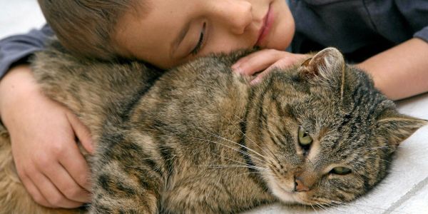 Un chat peut-il reconnaître son maître à l'odeur ?