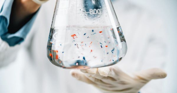 Santé. Les bouteilles en verre contiennent plus de microplastiques que les bouteilles en... plastique