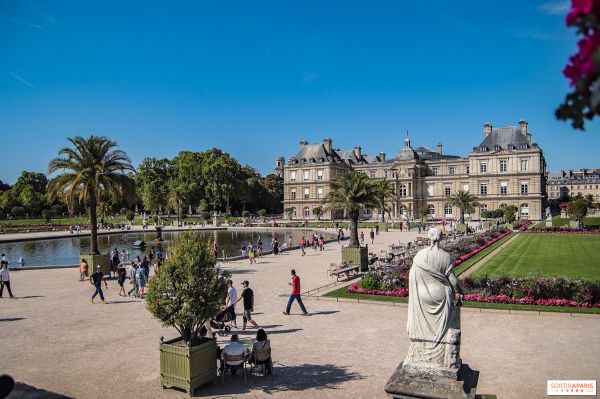 Saison Brésil-France 2025 : exposition Cruzeiro do Sul à l'Orangerie du Sénat