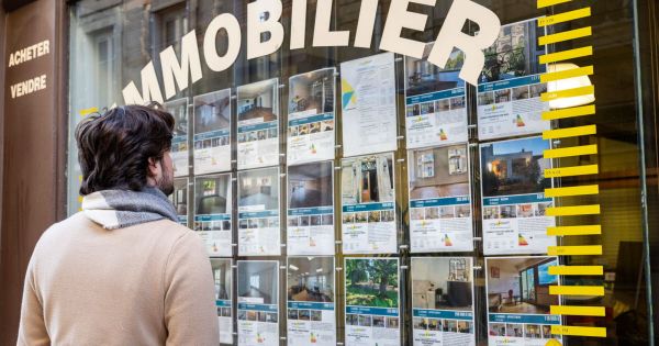 Immobilier. « À son plus bas niveau » : un rapport propose des outils fiscaux pour relancer l'investissement locatif