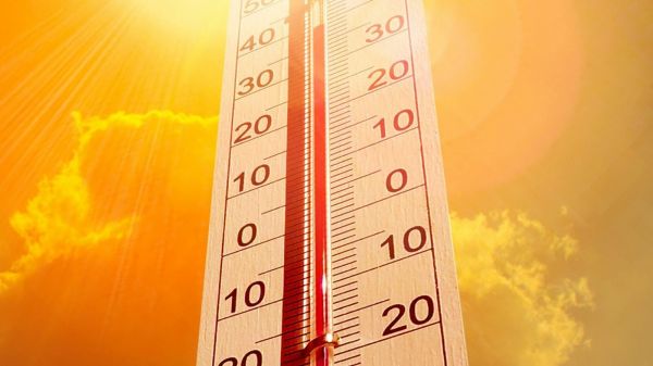 Canicule : écoles fermées, vitesse réduite... ce qu'il faut retenir des annonces du gouvernement
