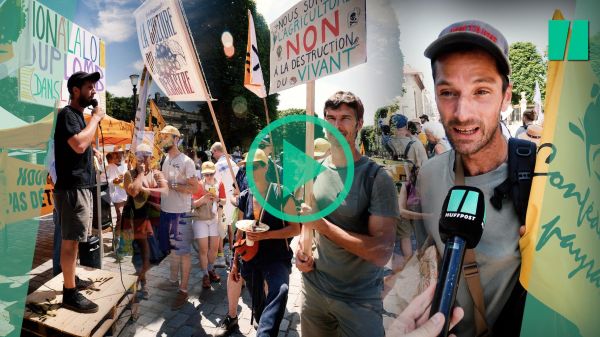 Loi Duplomb : ces agriculteurs de la Confédération paysanne en colère contre un texte « dicté par l'agro-industrie »