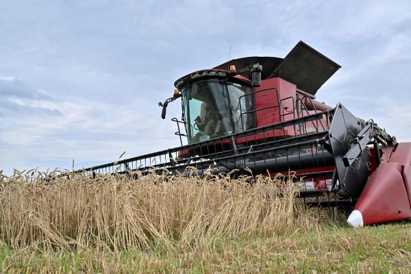 L'Union européenne et l'Ukraine concluent un nouvel accord sur les importations agricoles