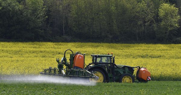 Politique. Loi agricole Duplomb : un compromis trouvé entre députés et sénateurs, incluant la réintroduction d'un pesticide