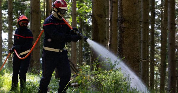 Canicule. Alerte rouge, voire violette, aux feux de forêt dans le Bade-Wurtemberg