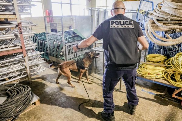 « Elle a marqué les esprits ! » : Tessa, le nouveau chien policier fait sensation à Bordeaux