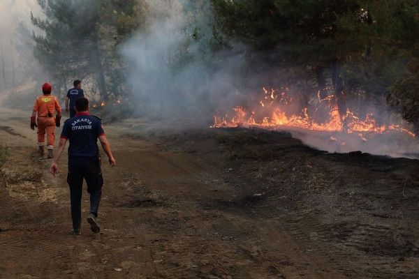 Incendies en Turquie : plus de 50 000 personnes évacuées face à l'avancée des flammes