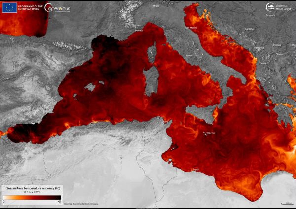 Réchauffement de la Méditerranée : alerte aux courants marins mortels cet été