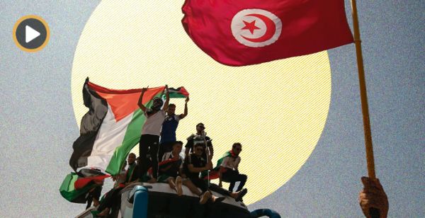 نواة في دقيقة: قافلة الصمود بين هستيريا المطبّلين والجهل المخجل