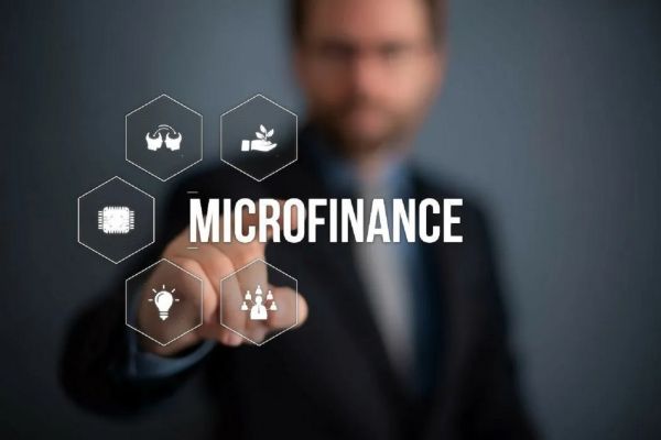Microfinance : Le Taux Effectif Global (TEG) supporté par les emprunteurs a atteint 25,7%, à fin 2024