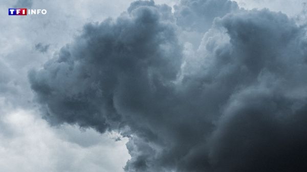 Savoie : un violent orage touche la vallée de la Maurienne et provoque des crues inédites "depuis 70 ans" | TF1 INFO