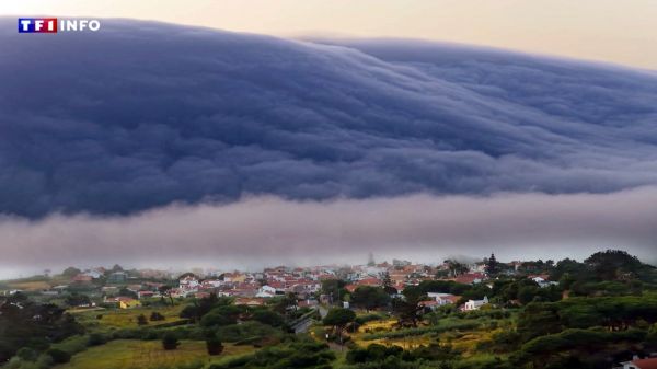 "On s'est mis à courir" : un impressionnant "nuage rouleau" déferle sur les côtes du Portugal  | TF1 INFO