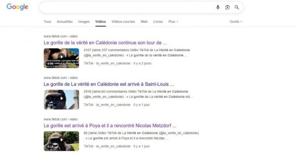 Le haut-commissariat alerte le parquet après la diffusion de vidéos "à caractère raciste"