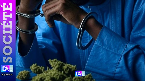 Mboro – Accro au chanvre, trahi par son père : « Mon père m'a vendu » S. Bâ sous les verrous, son sort connu le 4 juillet