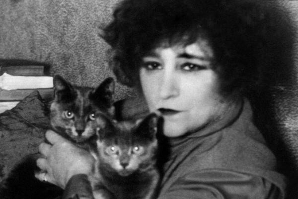 Le Bloc-notes de Jérôme Garcin : Colette, de Saint-Tropez au Palais-Royal