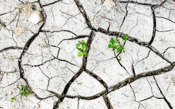 Canicule : ce qu'implique le niveau de vigilance rouge, activé dans 16 départements ce mardi