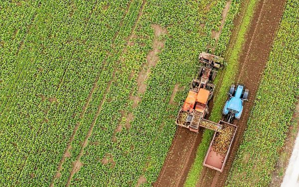Loi Duplomb : députés et sénateurs trouvent un compromis incluant la réintroduction d'un pesticide