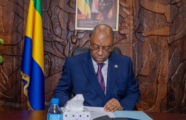 Gabon : Comment élaborer une cartographie exhaustive des ressources naturelles du pays ?