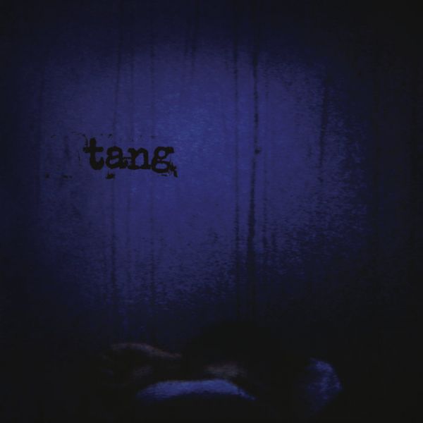 Tang : Réédition de This Quietness Booms About On The Walls Like Birds In Panic