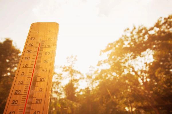 Canicule : jusqu’à 41°C prévus en Île-de-France ce mardi