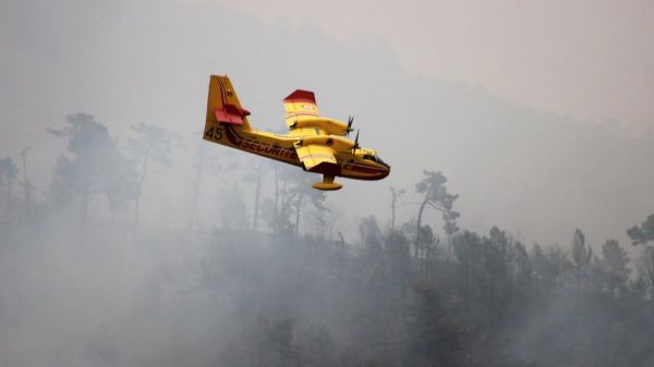 Incendie dans l'Aude : les feux sont fixés après avoir brûlé 400 hectares
