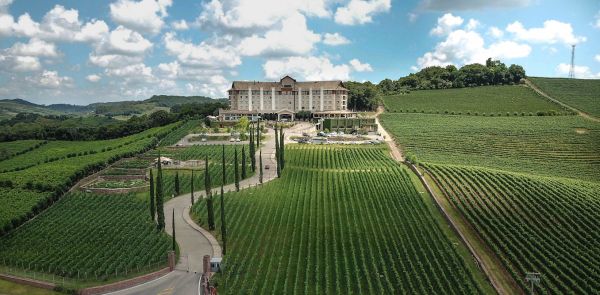 Le Brésil, laboratoire du vin de demain