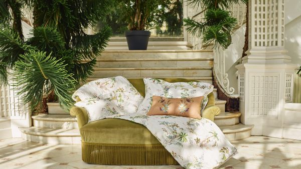 Pas besoin de clim ou de ventilateur : ces plantes rafraîchissent votre intérieur naturellement (à condition de les installer maintenant)